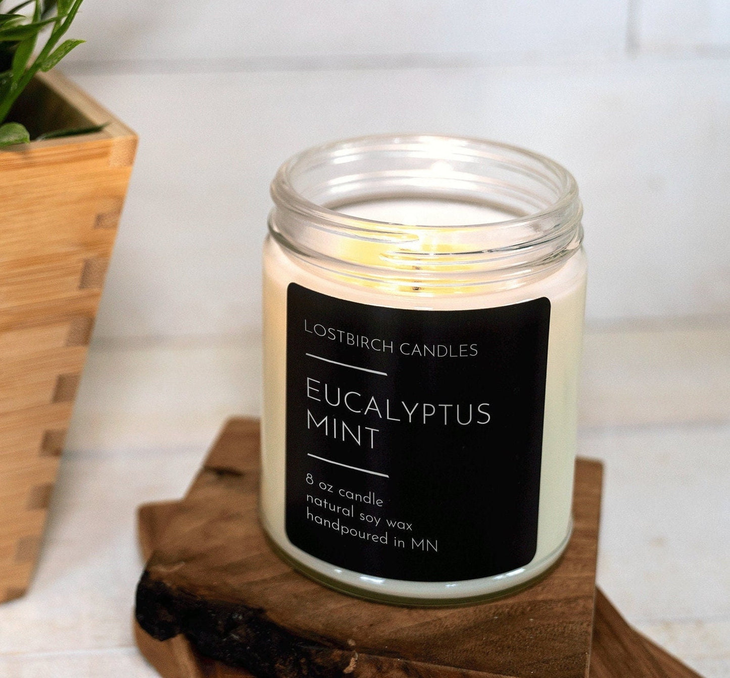 Eucalyptus Mint