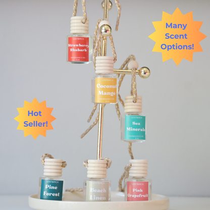 Car Air Freshener | Hanging Car Freshener | New Car Gift | Cute Car Accessories | Room Diffuser Air Freshener | Auto Air Freshener